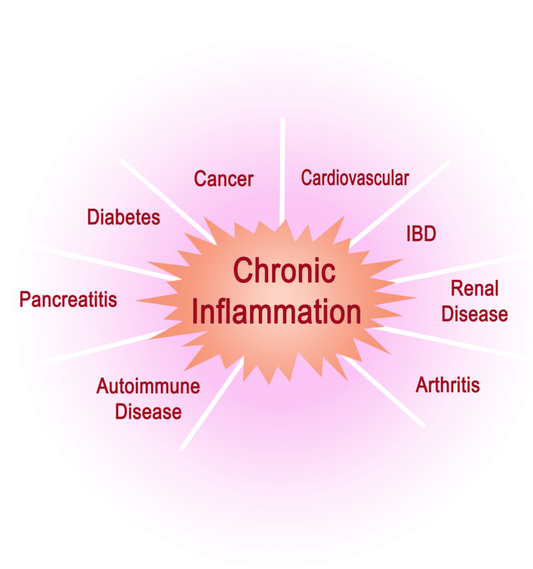 Inflammation: Why it Can be Bad and What You Can Do - OlivinoLife, Inc.